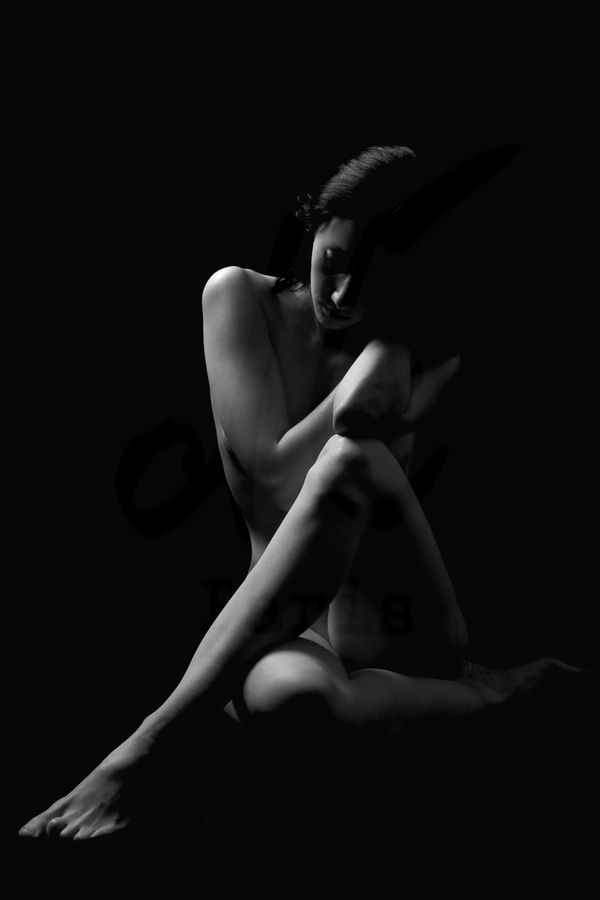 Portfolio Image